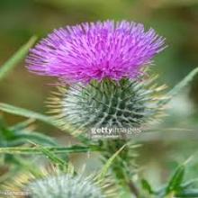 Profile photo ofKathie